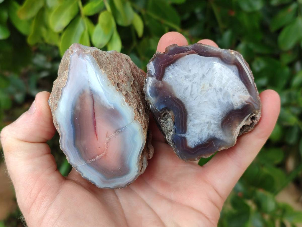 Polished Red Sashe River Agate Nodules x 6 From Sashe River, Zimbabwe - Toprock Gemstones and Minerals 