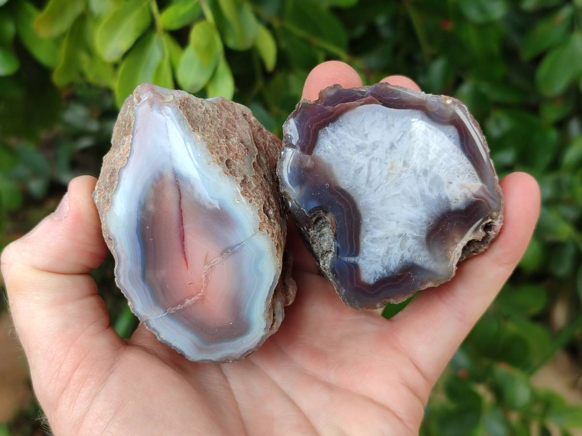 Polished Red Sashe River Agate Nodules x 6 From Sashe River, Zimbabwe - Toprock Gemstones and Minerals 