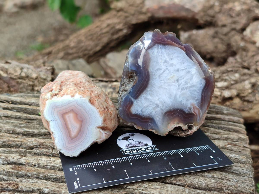 Polished Red Sashe River Agate Nodules x 6 From Sashe River, Zimbabwe - Toprock Gemstones and Minerals 