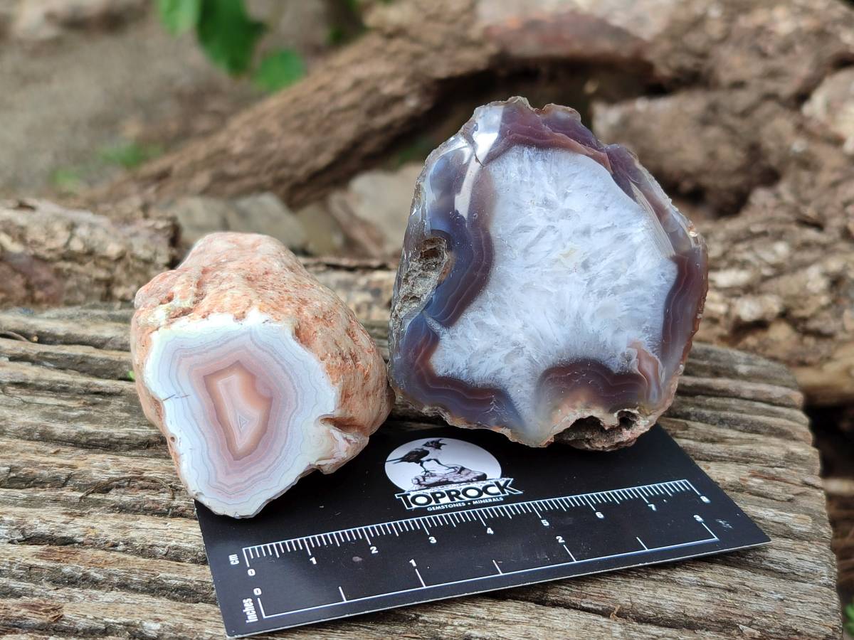 Polished Red Sashe River Agate Nodules x 6 From Sashe River, Zimbabwe - Toprock Gemstones and Minerals 