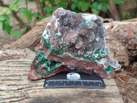 Natural Ball Malachite and Drusy Quartz On Dolomite Matrix Specimens x 2 From Mindingi Mine, Kambove, Congo