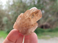 Natural Selected Luena Smokey Phantom Quartz Cluster and Crystals x 12 From Congo