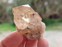 Natural Selected Luena Smokey Phantom Quartz Cluster and Crystals x 12 From Congo