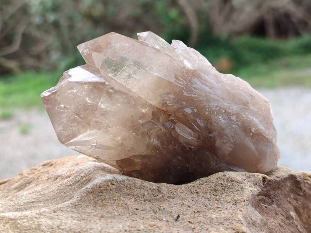 Natural Selected Luena Smokey Phantom Quartz Cluster and Crystals x 12 From Congo - Toprock Gemstones and Minerals 