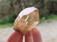 Natural Selected Luena Smokey Phantom Quartz Cluster and Crystals x 12 From Congo