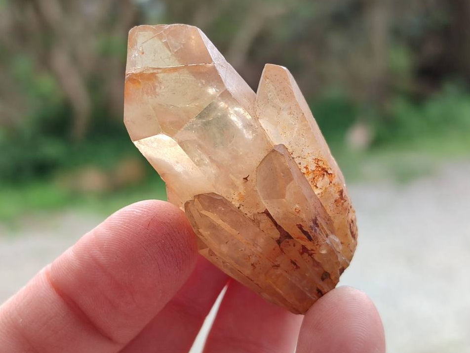 Natural Selected Luena Smokey Phantom Quartz Cluster and Crystals x 12 From Congo - Toprock Gemstones and Minerals 