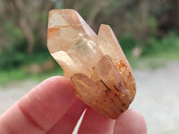 Natural Selected Luena Smokey Phantom Quartz Cluster and Crystals x 12 From Congo