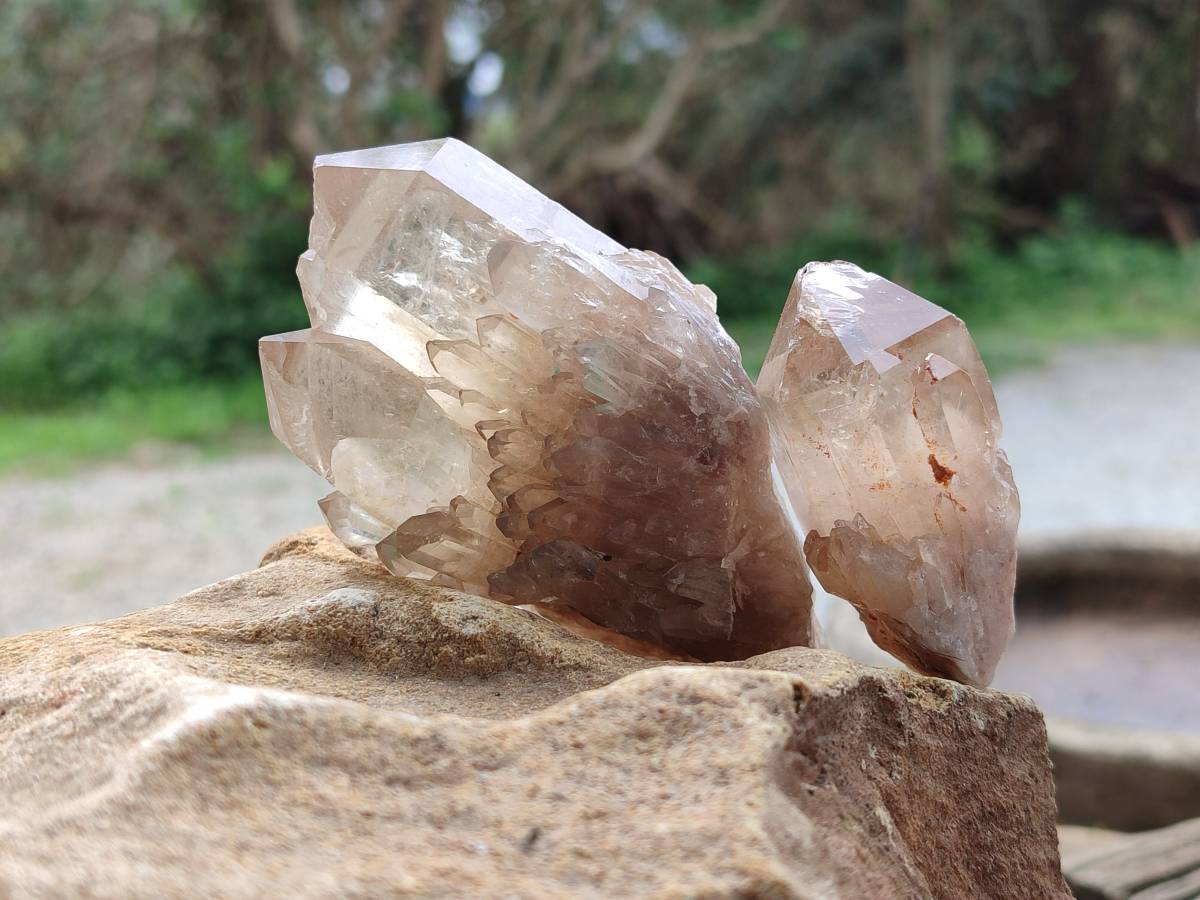 Natural Selected Luena Smokey Phantom Quartz Cluster and Crystals x 12 From Congo - Toprock Gemstones and Minerals 