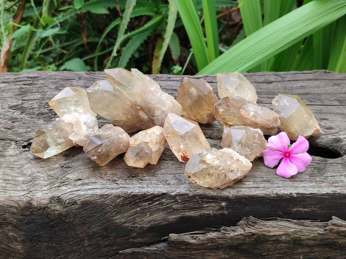Natural Selected Luena Smokey Phantom Quartz Cluster and Crystals x 12 From Congo - Toprock Gemstones and Minerals 