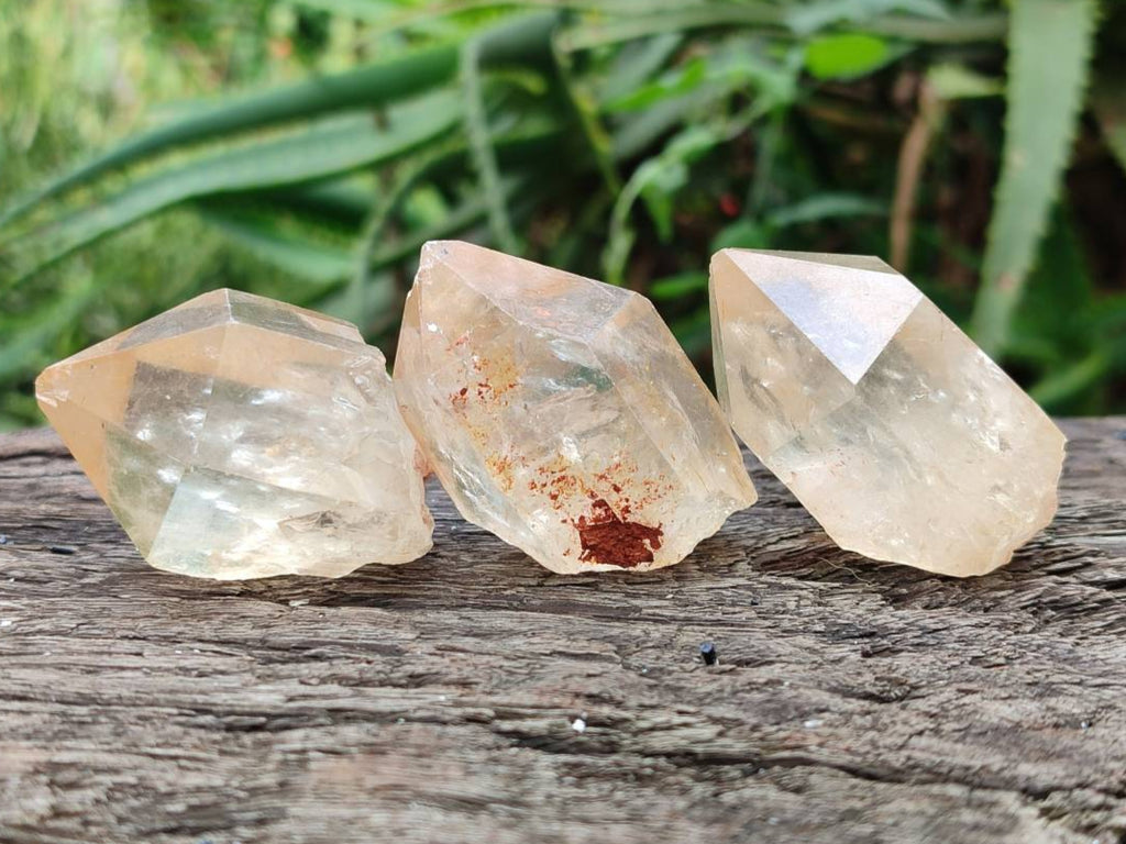 Natural Selected Luena Smokey Phantom Quartz Cluster and Crystals x 12 From Congo - Toprock Gemstones and Minerals 