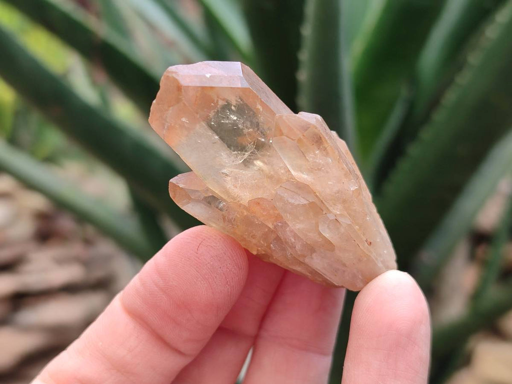 Natural Selected Luena Smokey Phantom Quartz Cluster and Crystals x 12 From Congo - Toprock Gemstones and Minerals 