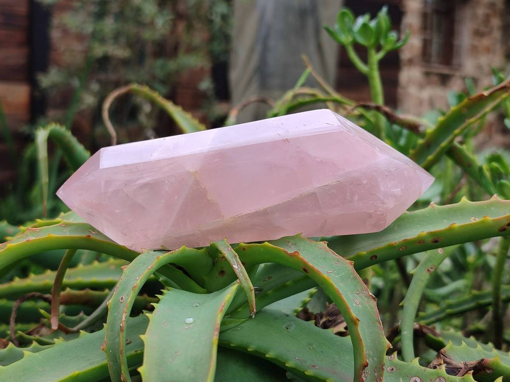 Polished Double Terminated Rose Quartz Crystals x 5 From Madagascar - Toprock Gemstones and Minerals 