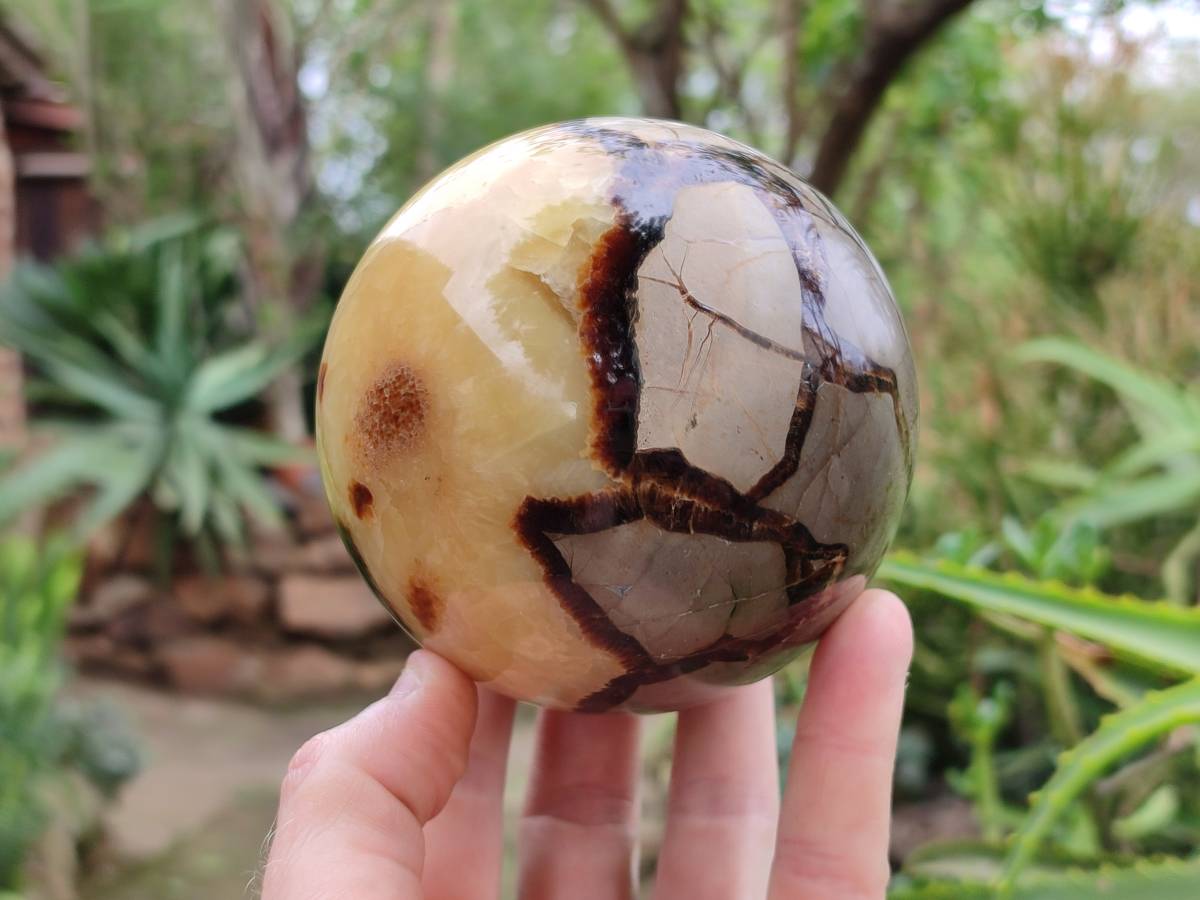 Polished Large Septerye Spheres x 2 From Mahajanga, Madagascar - Toprock Gemstones and Minerals 
