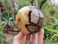 Polished Large Septerye Spheres x 2 From Mahajanga, Madagascar