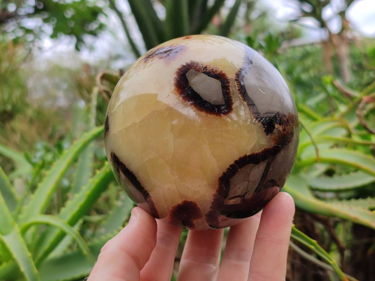 Polished Large Septerye Spheres x 2 From Mahajanga, Madagascar - Toprock Gemstones and Minerals 