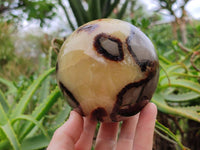 Polished Large Septerye Spheres x 2 From Mahajanga, Madagascar