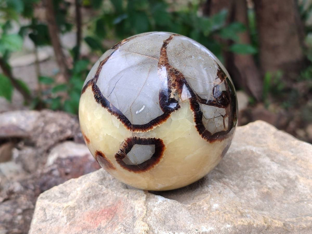 Polished Large Septerye Spheres x 2 From Mahajanga, Madagascar - Toprock Gemstones and Minerals 