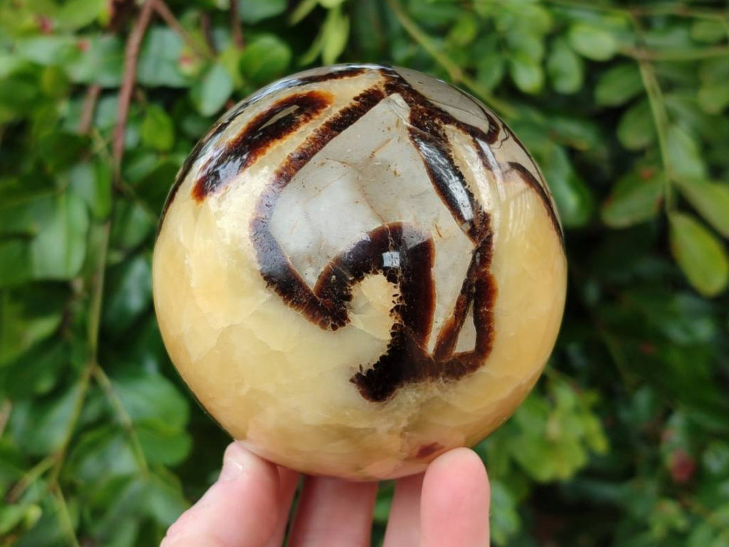 Polished Large Septerye Spheres x 2 From Mahajanga, Madagascar - Toprock Gemstones and Minerals 