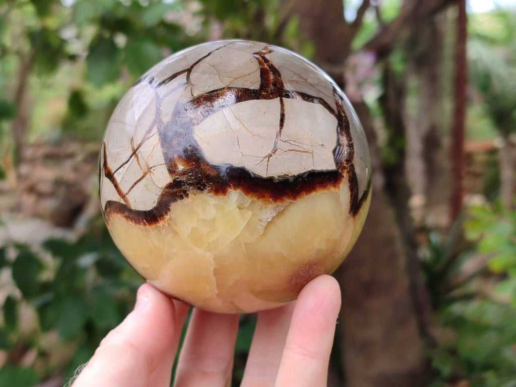 Polished Large Septerye Spheres x 2 From Mahajanga, Madagascar - Toprock Gemstones and Minerals 