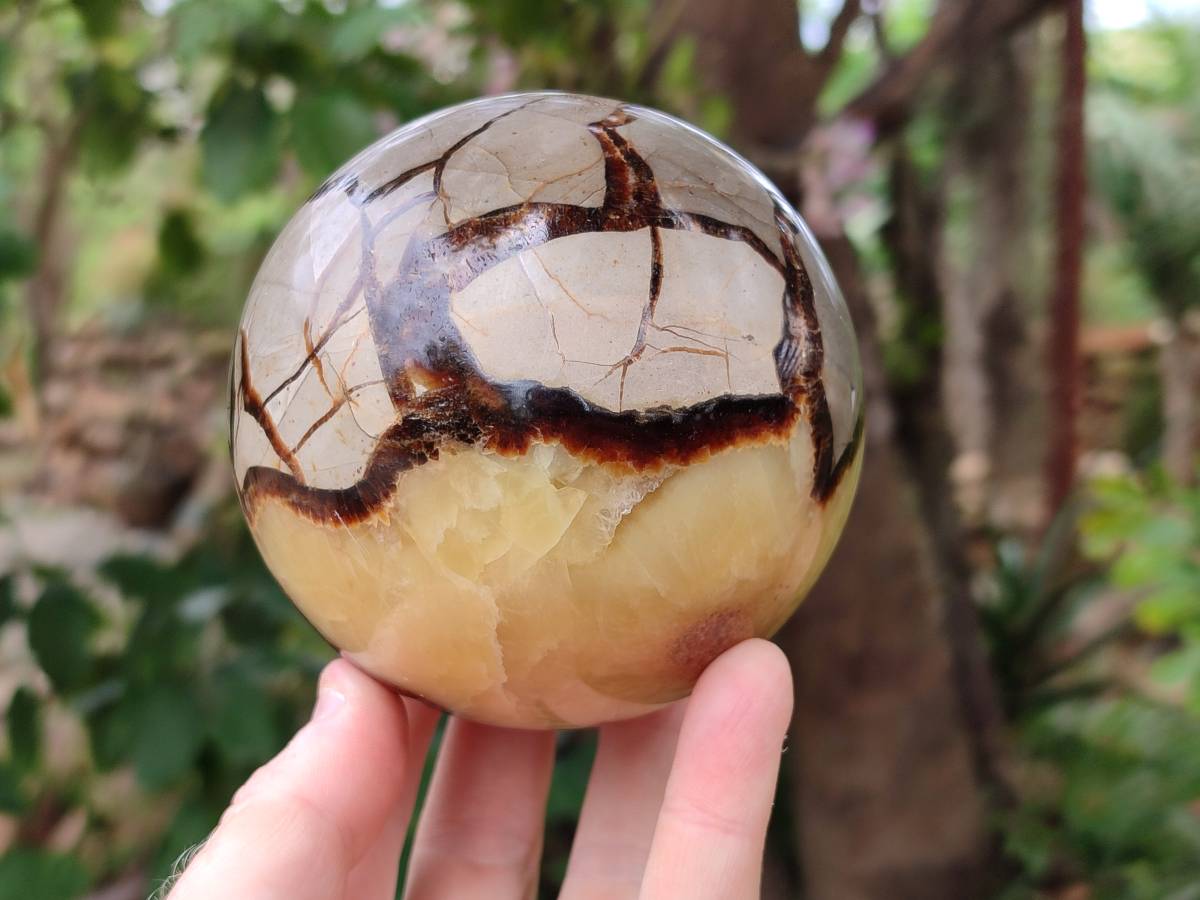 Polished Large Septerye Spheres x 2 From Mahajanga, Madagascar - Toprock Gemstones and Minerals 