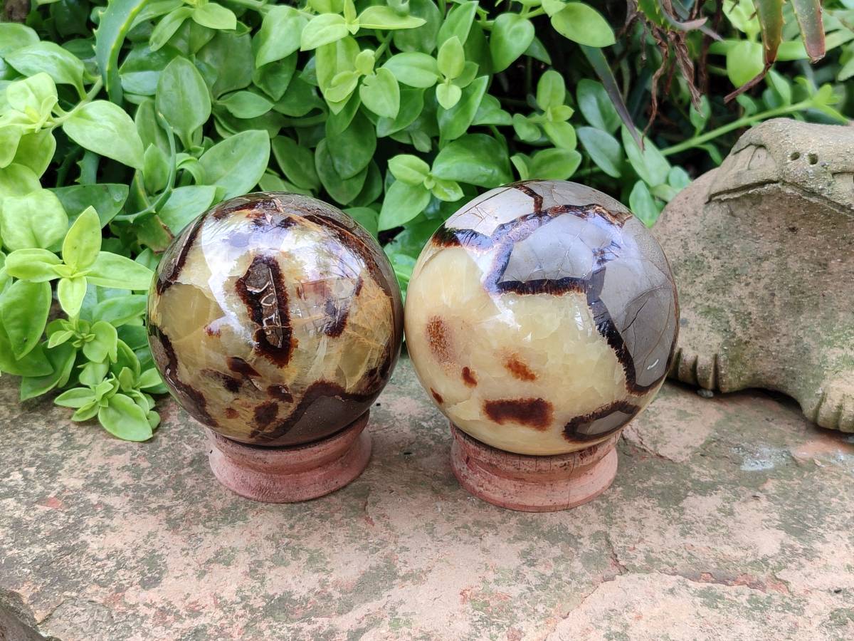 Polished Large Septerye Spheres x 2 From Mahajanga, Madagascar - Toprock Gemstones and Minerals 
