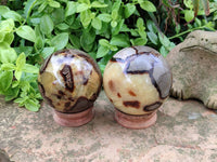 Polished Large Septerye Spheres x 2 From Mahajanga, Madagascar