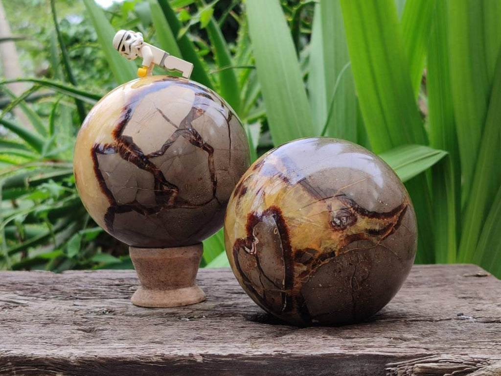 Polished Large Septerye Spheres x 2 From Mahajanga, Madagascar - Toprock Gemstones and Minerals 