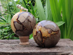 Polished Large Septerye Spheres x 2 From Mahajanga, Madagascar - Toprock Gemstones and Minerals 