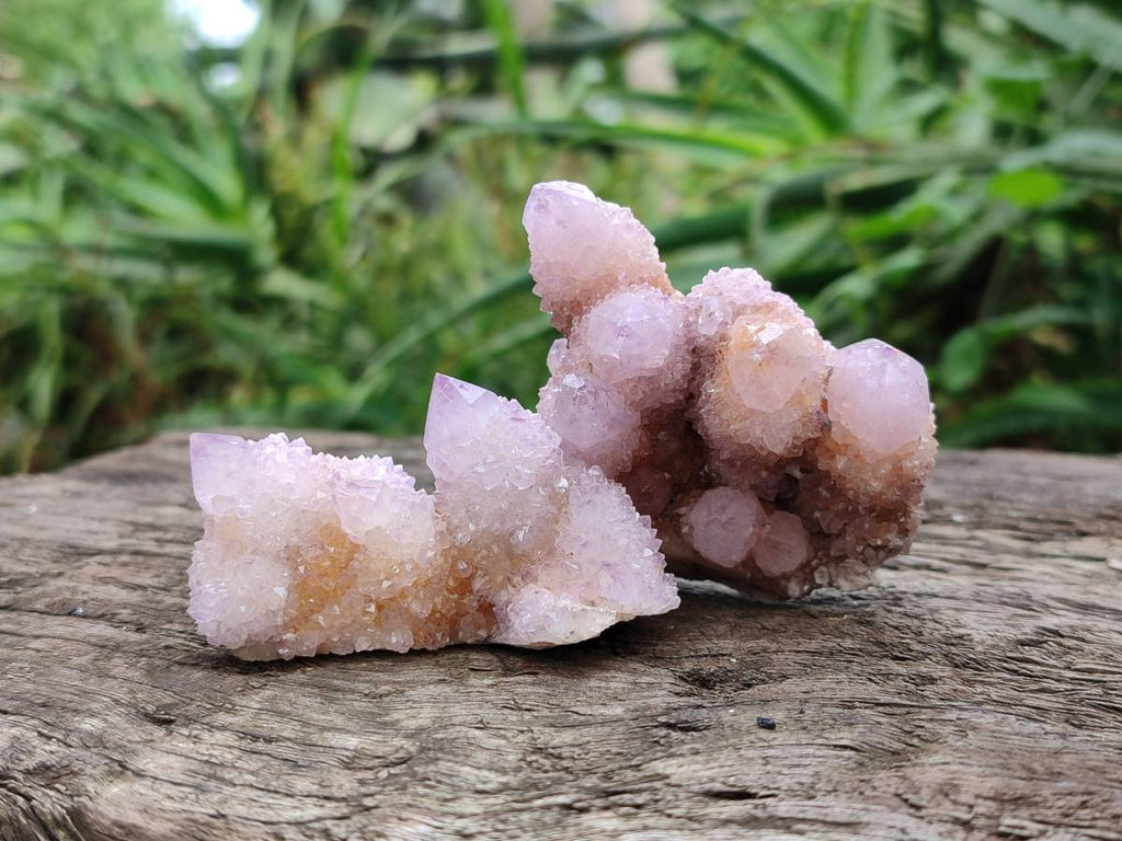 Natural Ametrine and Amethyst Spirit Quartz Clusters x 12 From South Africa - Toprock Gemstones and Minerals 
