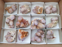 Natural Ametrine and Amethyst Spirit Quartz Clusters x 12 From South Africa