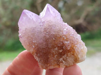 Natural Ametrine and Amethyst Spirit Quartz Clusters x 12 From South Africa