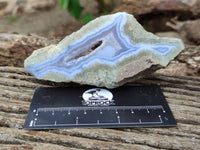 Polished On One Side Blue Lace Agate Geodes x 6 From Nsanje, Malawi