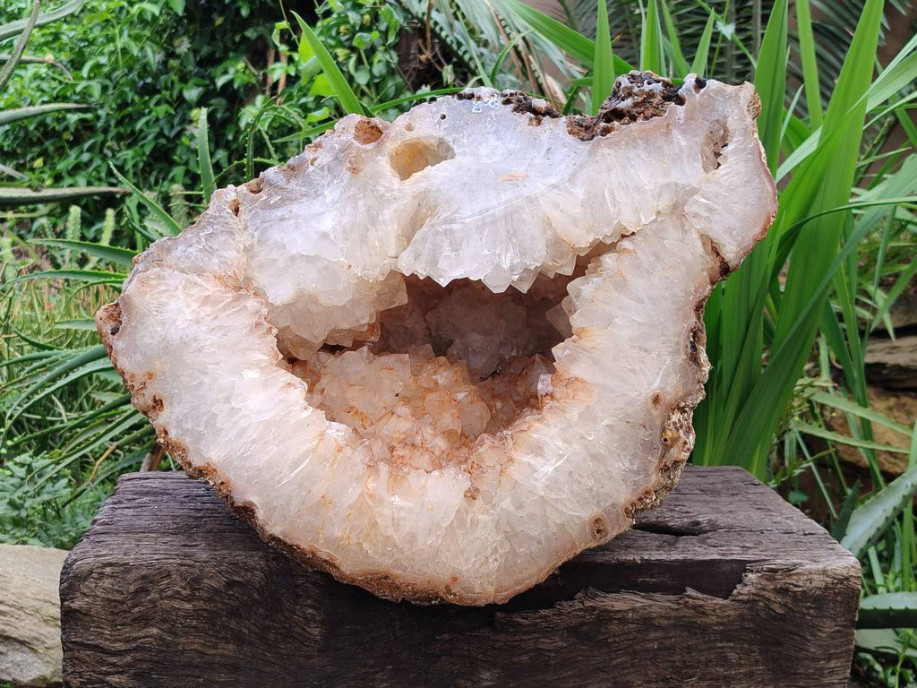 Polished XXL Agate Geode x 1 From Madagascar - Toprock Gemstones and Minerals 