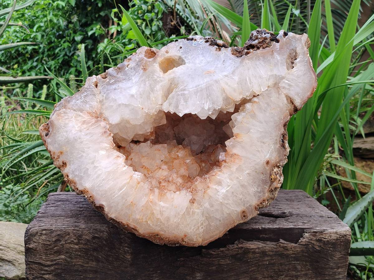 Polished XXL Agate Geode x 1 From Madagascar - Toprock Gemstones and Minerals 