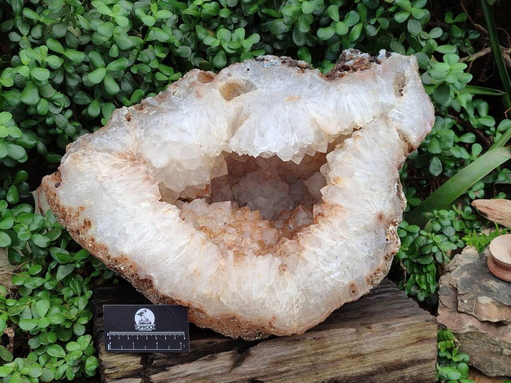 Polished XXL Agate Geode x 1 From Madagascar - Toprock Gemstones and Minerals 