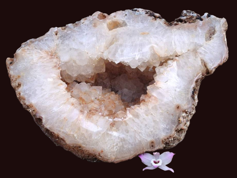 Polished XXL Agate Geode x 1 From Madagascar - Toprock Gemstones and Minerals 