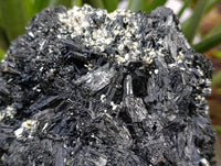Natural Schorl Black Tourmaline Specimen x 1 From Erongo, Namibia