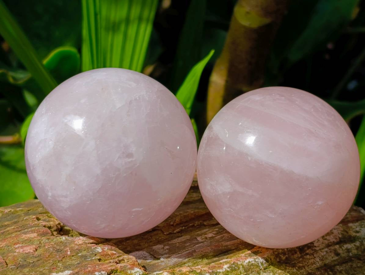 Polished Rose Quartz Spheres x 6 From Madagascar - Toprock Gemstones and Minerals 