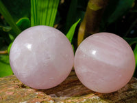 Polished Rose Quartz Spheres x 6 From Madagascar