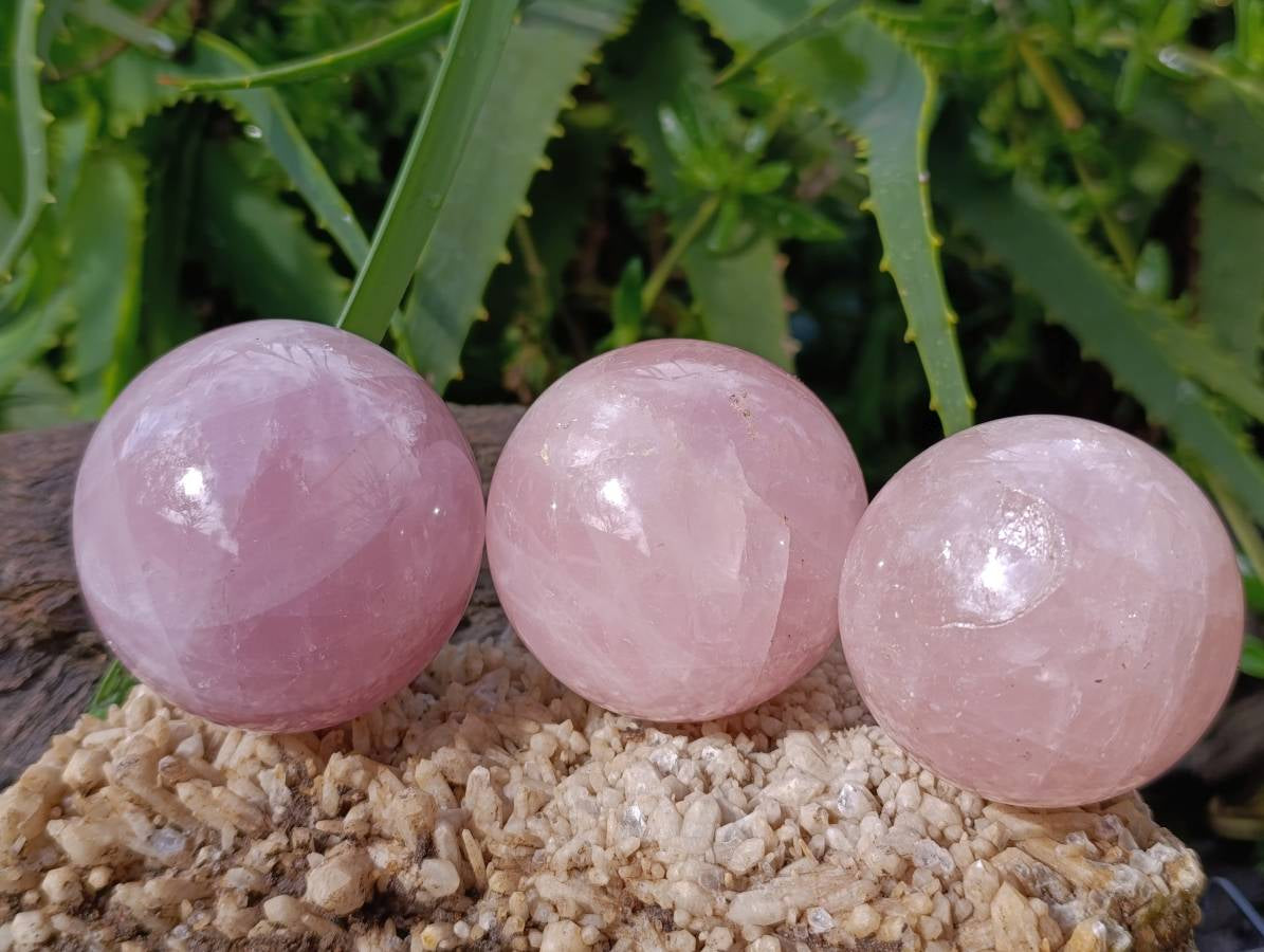 Polished Rose Quartz Spheres x 6 From Madagascar - Toprock Gemstones and Minerals 