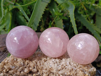 Polished Rose Quartz Spheres x 6 From Madagascar