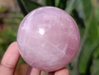 Polished Rose Quartz Spheres x 6 From Madagascar