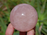 Polished Rose Quartz Spheres x 6 From Madagascar