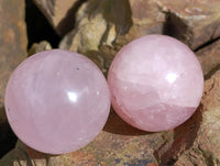 Polished Rose Quartz Spheres x 6 From Madagascar