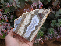Polished On One Side Blue Lace Agate with Crazy Lace, Slices x 3 From Namibia