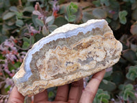 Polished On One Side Blue Lace Agate with Crazy Lace, Slices x 3 From Namibia