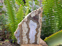 Polished On One Side Blue Lace Agate with Crazy Lace, Slices x 3 From Namibia