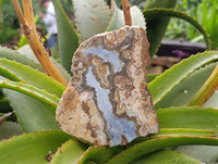 Polished On One Side Blue Lace Agate with Crazy Lace, Slices x 3 From Namibia