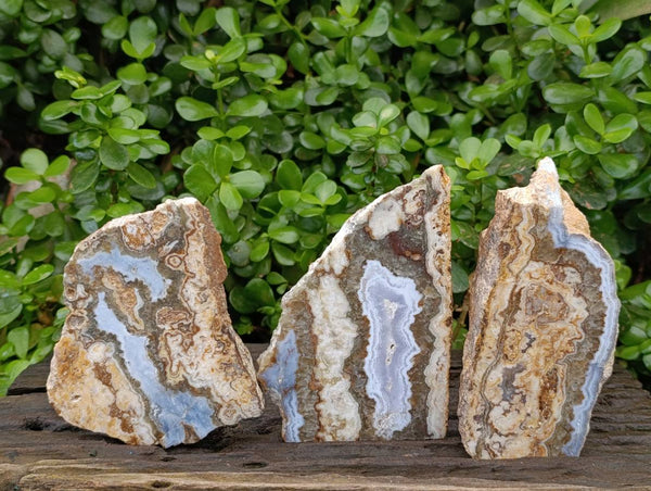 Polished On One Side Blue Lace Agate with Crazy Lace, Slices x 3 From Namibia