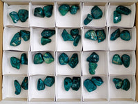 Polished Dioptase Free Forms x 41 From Likasi, Congo